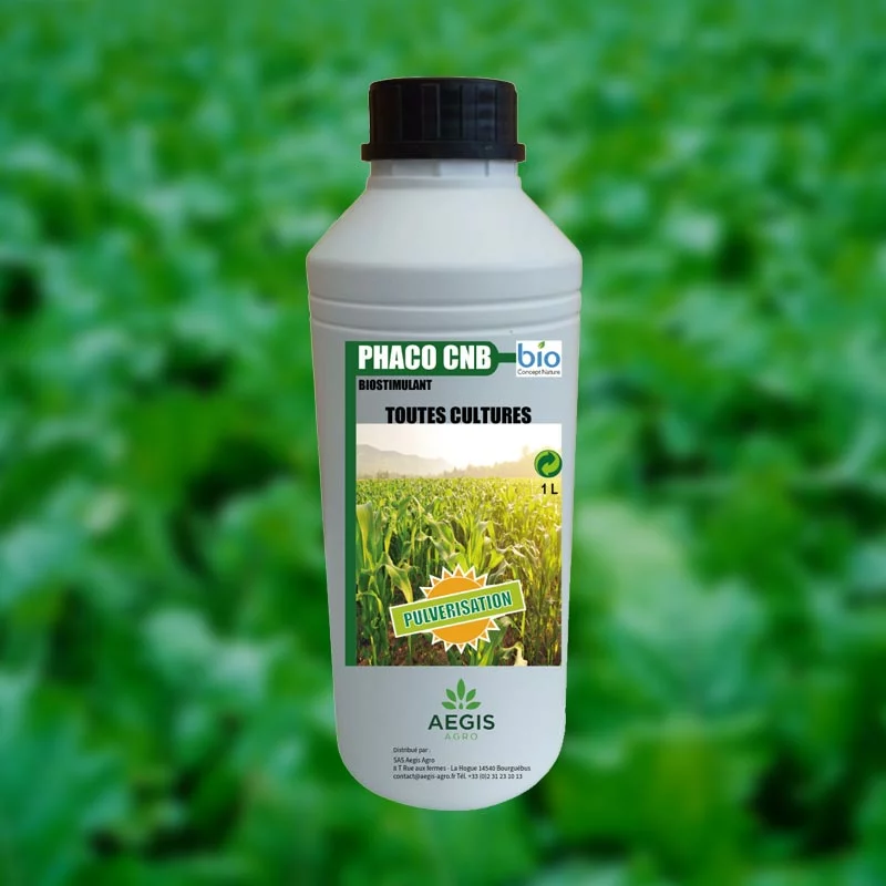 Phaco Solution protection dégâts sanglier