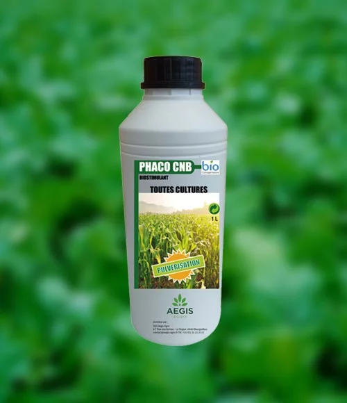 Aegis Agro Phaco protection des cultures contre les sangliers
