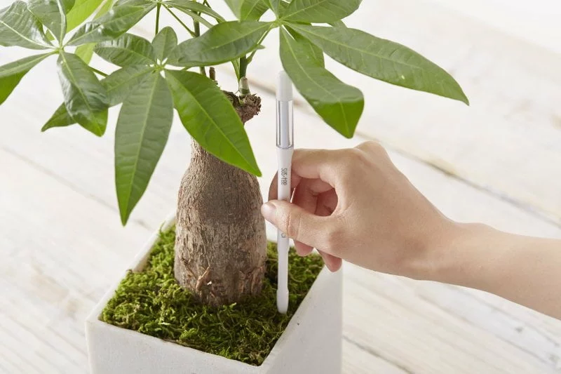 Sustee Testeur d'humidité